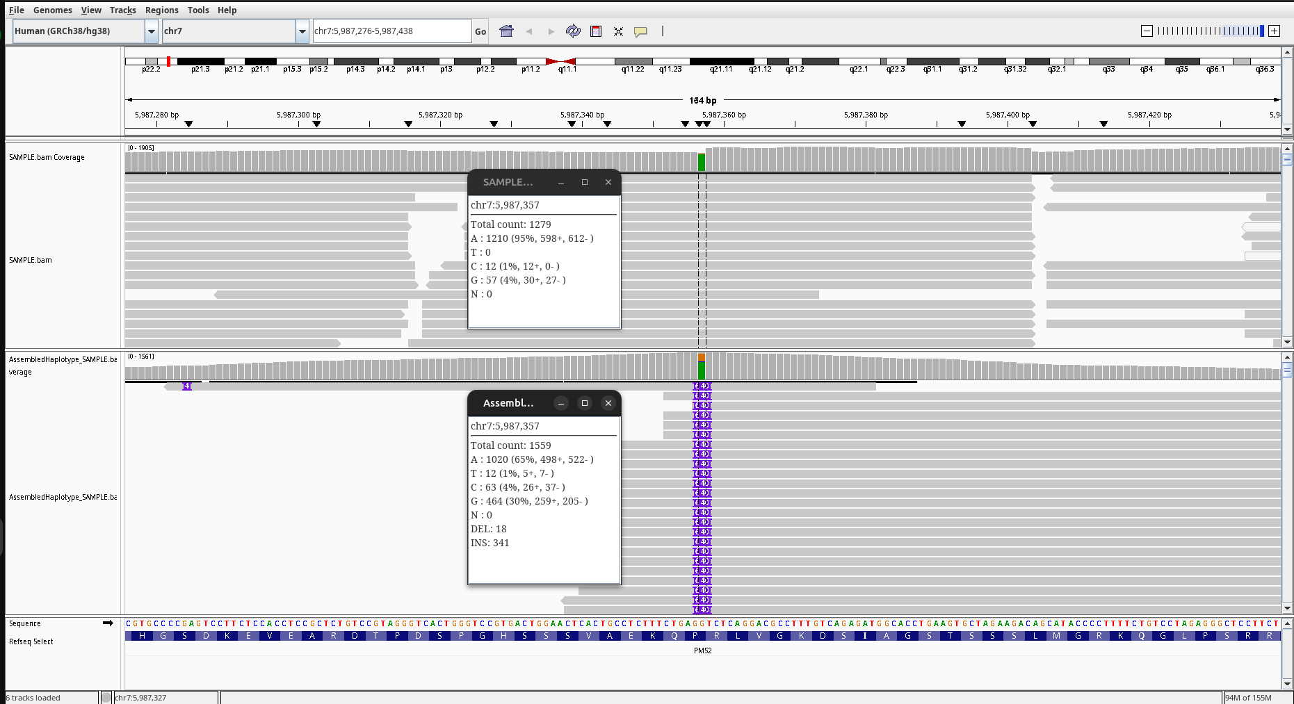 Assembled Haplotypes BAM