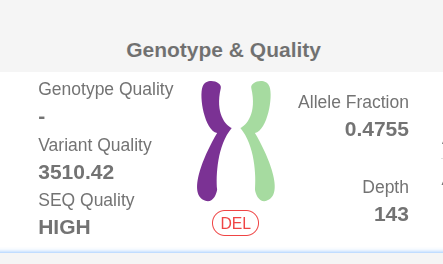 Overlapping CNV in Small Variant Page Buttons